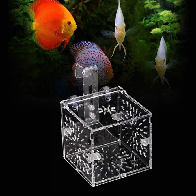 GLOGLOW Aquarium Breeding Isolation Box, Transparent Acrylic Fish Isolation Box Fish Separator with Suction Cups for Small Baby Fishes Shrimp Clownfish Guppy(10CM*10CM*10CM)