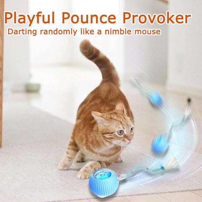 2PCS Interactive Cat Toys for Indoor Cats,New Generation Interactive Cat Ball Toy with Elastic Mesh Tail,Automatic Cat/Kitten Toys with Chirping & Motion Activate,Cat Toys for Bored Indoor,Red & Gray