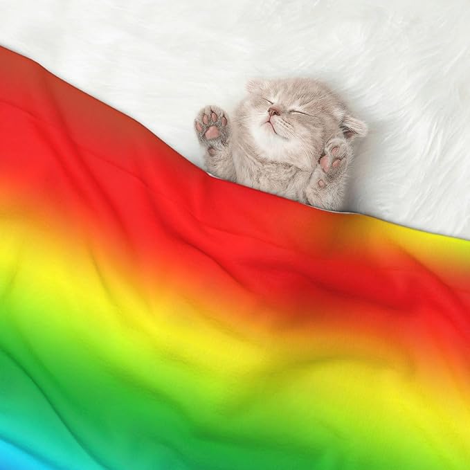 Pet Blanket for Couches and Beds, Colorful, Reversible Double Sided Plush Design with Soft Bumpy Texture and Smooth Surface, Furniture Protector