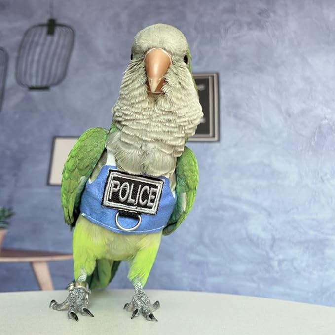 Bird Flight Harness Vest, Parrot Flight Suit with Leash, Bird Flying Clothes with Rope and Handle for Outdoor Activities (Without Leash,Budgie)