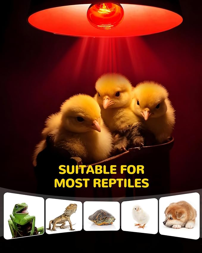 GlowUp 2 Pack E26 Infrared Heat Lamp, 50W Reptile Heat Emitter Infrared Basking Spot Light, Red Heat Lamp for Chickens Coop Reptile Pets Brooder Use