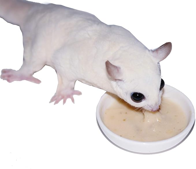 Honey & Fruit Instant-HPW (1 lb.) - All Natural Vitamin Enriched Sugar Glider Food - Healthy & Nutritious - High Protein Wombaroo - Staple Diet