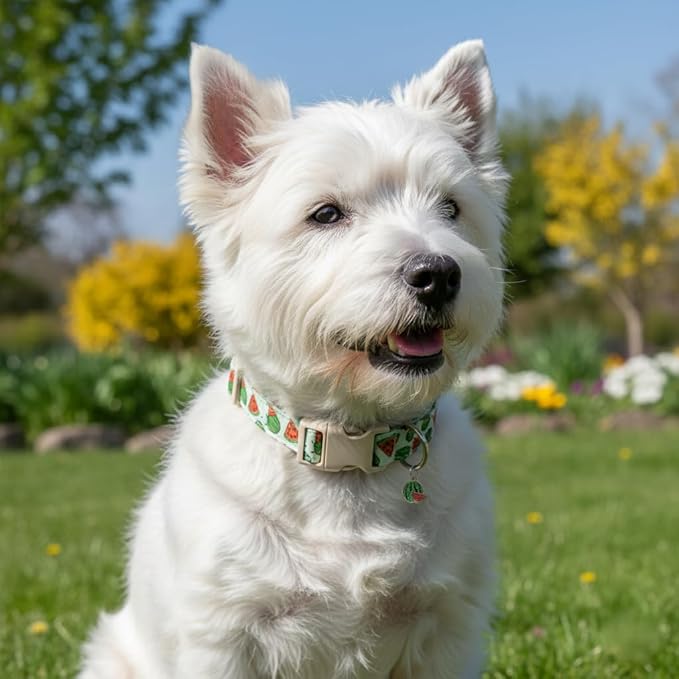 Summer Dog Collar for Medium Dogs, Cute Dog Collar with Watermelon Pattern and Pendant, Green Pet Collar with Soft Cotton Fabric and Robust Buckle