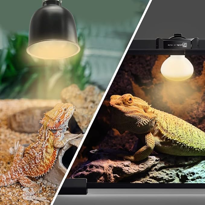 LUCKY HERP New Upgrade 75W Reptile Heat Lamp Bulb (3rd Gen, Safer), Amphibian Basking Spot Light Bulb, UVA Reptile Daylight Bulb for Turtle, Bearded Dragon, Lizard Heating Use (2 Pack)