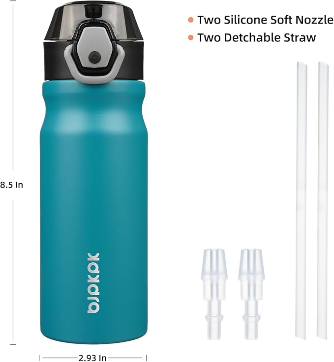 BJPKPK 18 oz Water Bottle with Straw & Handle, Insulated Stainless Flask | Leak
