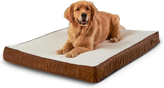 Happy Hounds Oscar Rectangle Orthopedic Foam Sherpa Dog Bed, Large (48 x 36 in.), Mocha