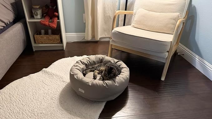 Organic Cotton Canvas Dog Bed: Removable Cover, Natural Fill - Made in USA (Gray, X Small 18" x 6" inches)