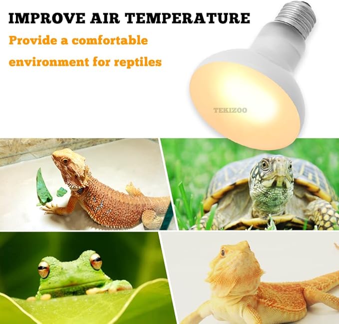 Reptile Heat Lamp UVA Basking Daylight Spot Bulb for Amphibian,Lizard,Tortoise,Bearded Dragon 50W(3 Pack)