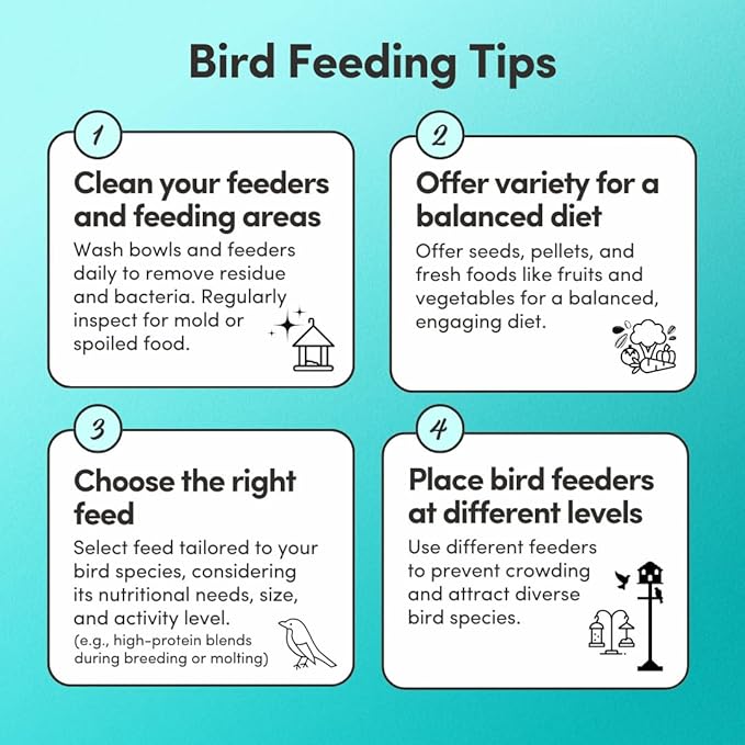Mycelium Pet Bird Harvest Blend Bird Seed | Organic Food for Cockatiels, Lovebirds & Conures | Fruits, Vegetables, Egg, Vitamins & Minerals | Supports Feather & Digestive Health | 5 lb Bag