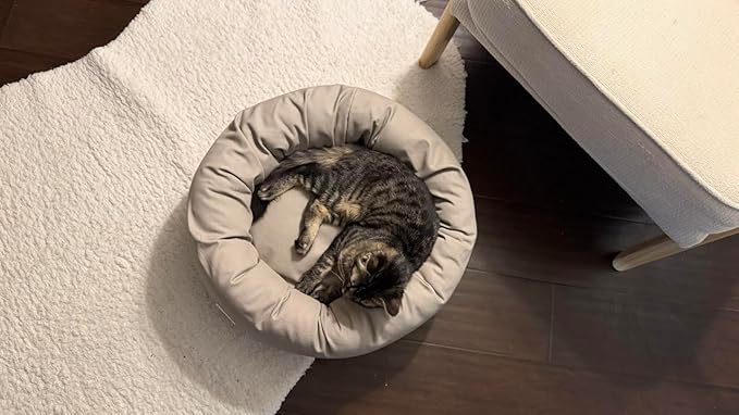 Organic Cotton Canvas Dog Bed: Removable Cover, Natural Fill - Made in USA (Gray, X Small 18" x 6" inches)