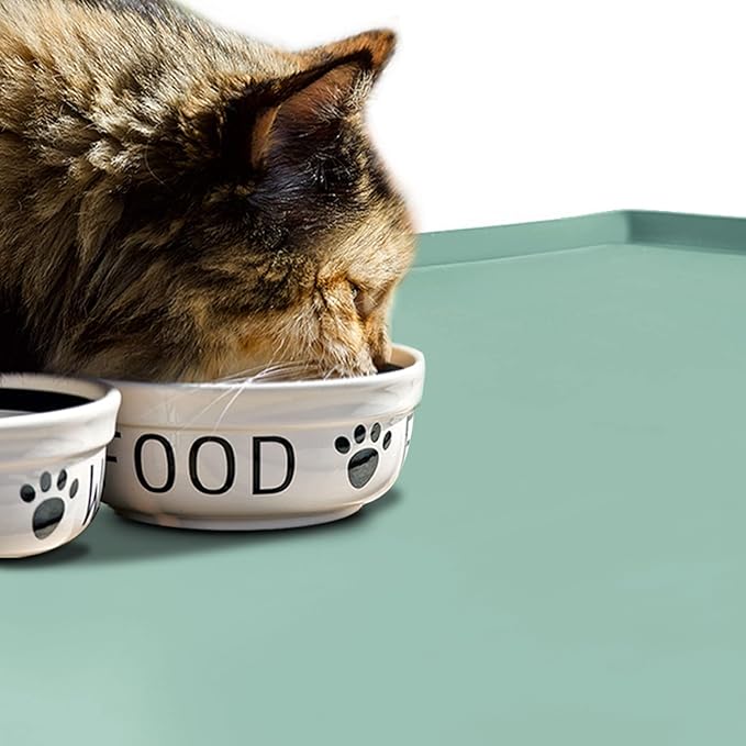 Dog Food Mat,Silicone Waterproof Food Tray,Non Slip Pet Bowl Mats Placemat,0.8" Raised Edge,Suitable for Most Small and Medium Sized Pets,28" x 18"