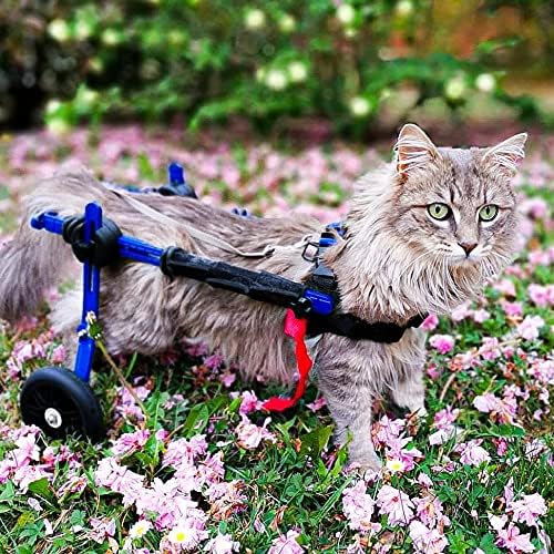 Walkin' Wheels Lightweight – for Small Cats 2 to 20 Pounds – Veterinarian Approved – Cat Wheelchair for Back Legs, for Cats 2-10 lbs, 6-8 inches Leg Height – Blue