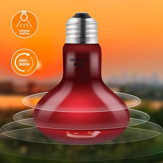 DXOPHIEX 2 Pack 100W Reptile Heat Lamp Bulbs Reptile Heat Bulbs, UVA Basking Bulb and Infrared Light Bulb Combo, Basking Light for Bearded Dragon, Turtles, Snake and Lizard