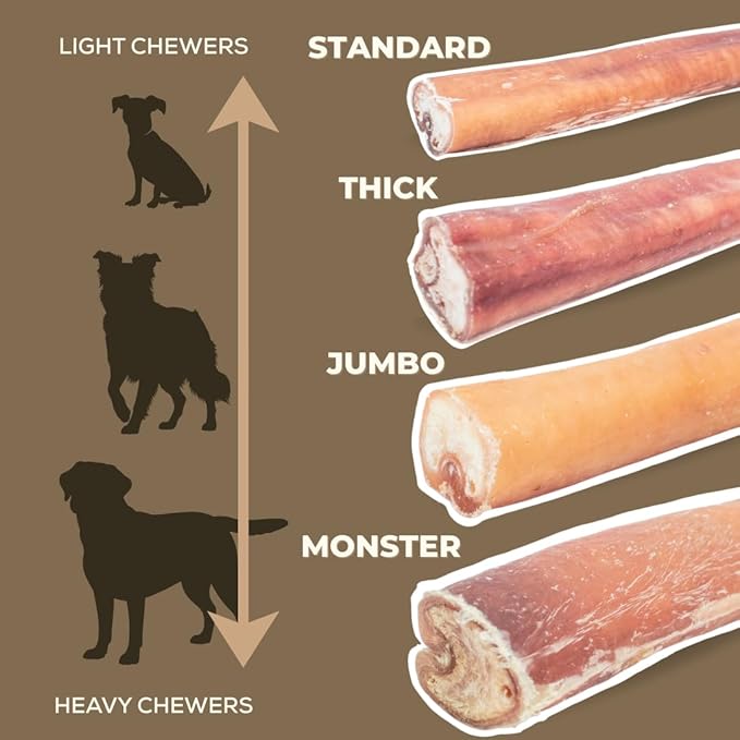 Bully Bunches Premium 6 Inch Thick Odor-Free Bully Sticks for Small & Medium Dogs - Consistently Sized, Long Lasting Chews for Oral Care- All Natural & Single Ingredient, 100% Beef Dog Treat (20 Pk)