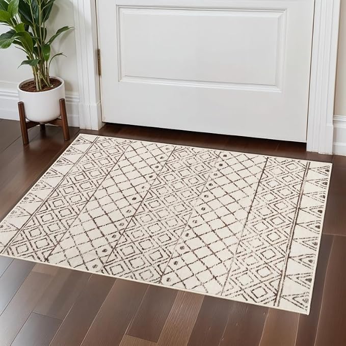 Small Rug 2x3 Washable