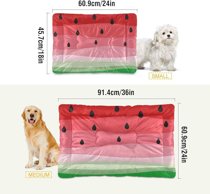 Watermelon Fruits Pet Bed Cute Dog Bed Mat Absorbing Non Slip Pad Pet Sleeping Mat for Small, Medium, and Large Dogs Puppy Cat 24 in x 18 in