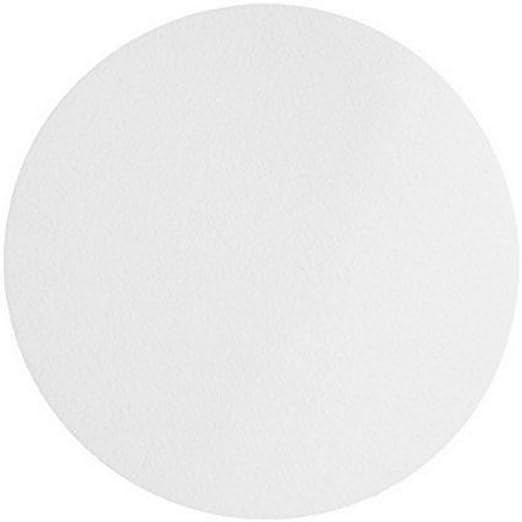 Omicron™ 170090R Nylon Membrane Circle, 0.2 Micron