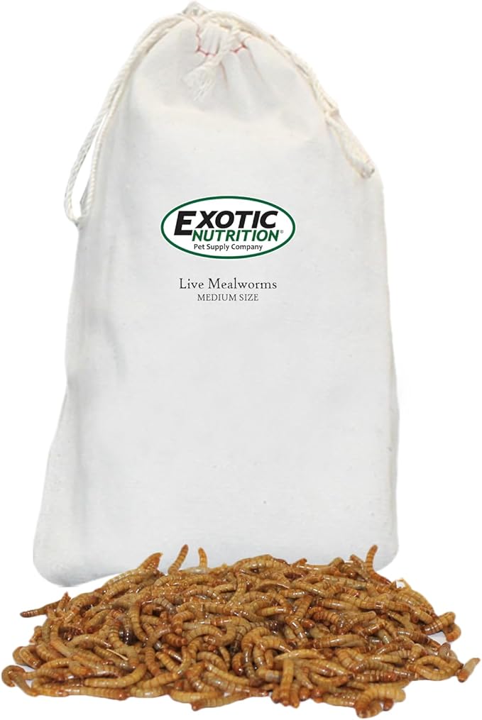 Exotic Nutrition Medium Live Mealworms (1/2") (1,000 Pack)