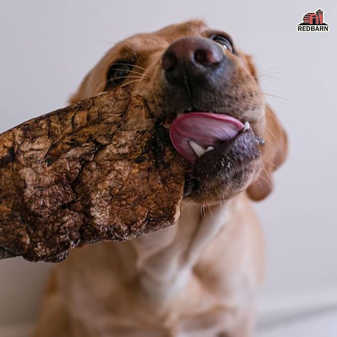 Redbarn Beef Lung Choppers Dog Chew, All-Natural high-Protein Low-Fat Grain-Free, Highly Palatable Treats sourced from Grass-Fed Cattle, Pack of 2