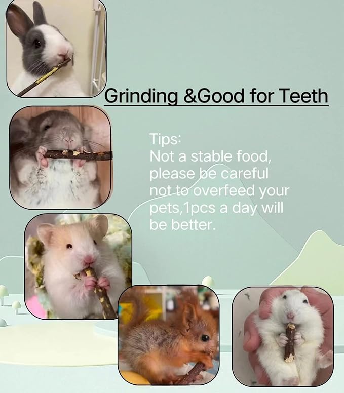 Apple Wood Sticks for Chinchilla,Natural Chew Toys and Treats for Chinchilla Guinea Pig Hamster Gerbil,Rabbit Chew Toys for Teeth (Thin 600g-21oz)