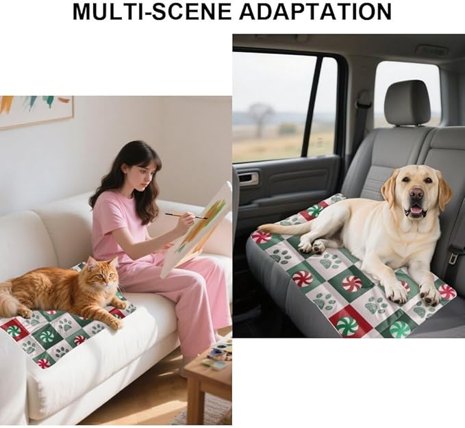 Festive Checker Design Pet Pad Waterproof Pet Bed Dog Crates Mats Cozy House Dog Bed Non- Slip Bottom Friendly Furniture Multi- Scenario Beds Gift Printed Mat 36× 24 Inch