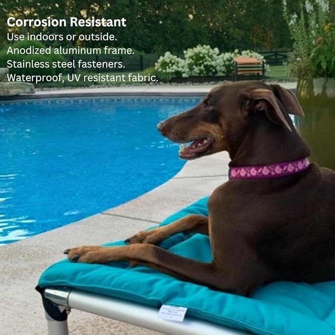 Kuranda Chewproof Elevated Pet Bed - Silver Aluminum - 40" x 25" - Sunsure Textilene - Birch