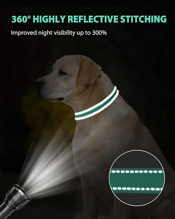 Joytale Large Dog Collar, Reflective and Adjustable Nylon Pet Collar with Quick-Release Buckle for Large Dogs, Teal, L