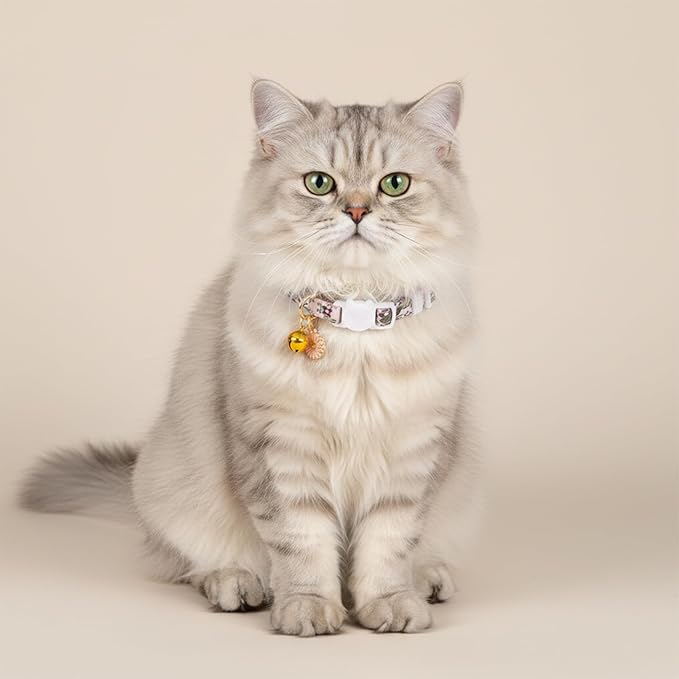 2 Pack Cotton Breakaway Cat Collars with Bell and Daisy Charm - Cute Kitten Cat Collar for Girl Cats and Boys, Adjustable Size 7.5-11 Inch