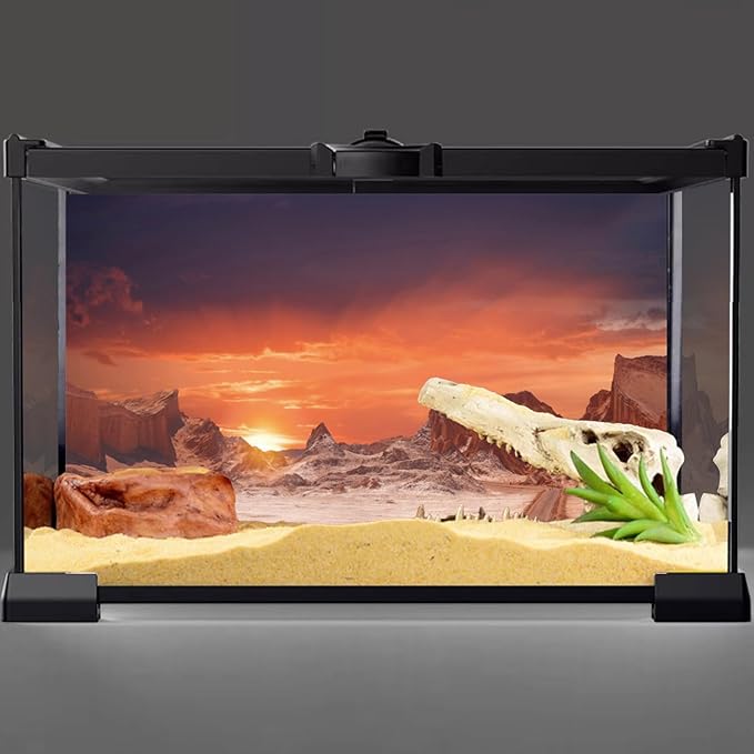 AWERT 60x24 inches Sun and Desert Terrarium Background Orange Reptile Habitat Background Durable Polyester Background