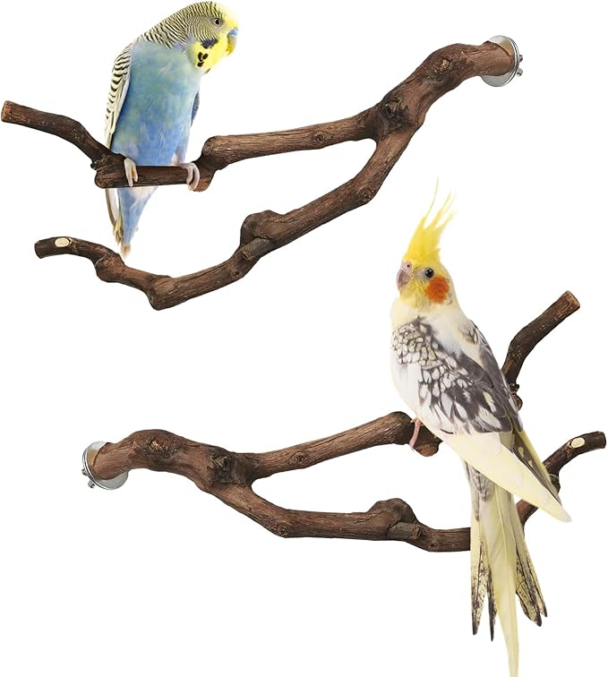 PINVNBY Natural Parrot Perch Grape Wood Bird Stand Pole Parakeet Paw Grinding Fork Chewable Climbing Branches Toy Bird Cage Accessories for Budgies Conures Cockatiels Lovebirds (2 PCS, 5.9IN)
