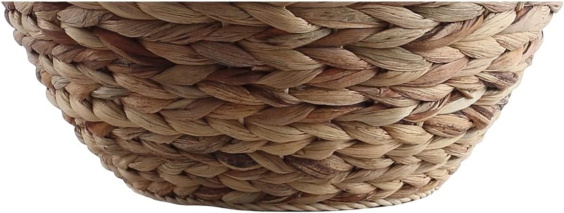 JONATHAN Y Alaro Table Lamp Woven Water Hyacinth Basket 24.5", Natural