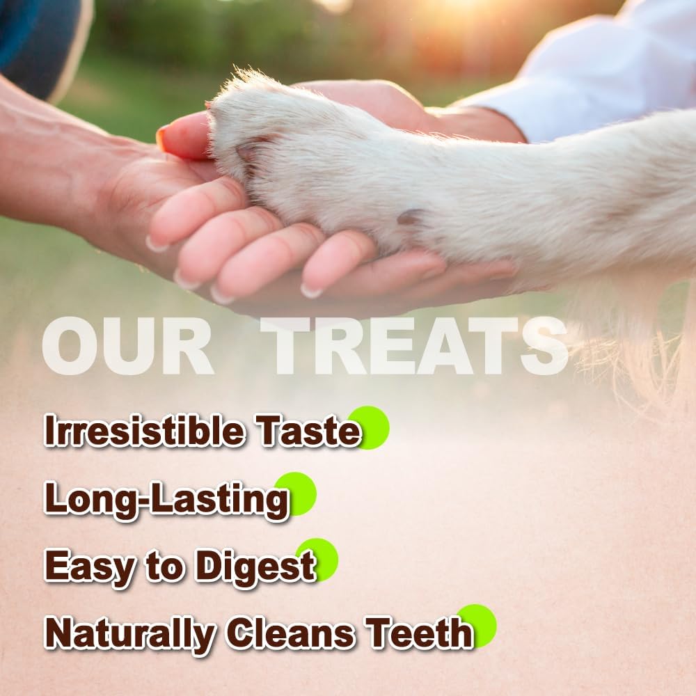 Afreschi Natural Turkey Tendon Strip 10 Units/Box, All Natural Human Grade Puppy Chew, USA-Sourced Turkey Tendon, Hypoallergenic, Easy to Digest, Rawhide Alternative