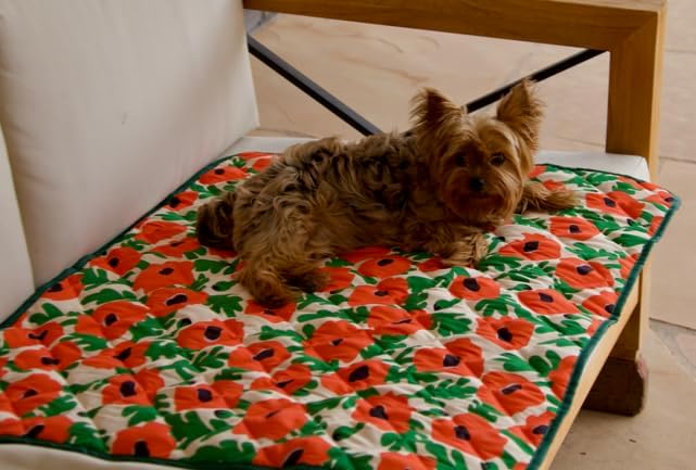 Waterproof Blanket, 29" x 34” - Seat Cover for Dogs and Pets. Ideal for Small and Medium Pet Crate Blankets, Settle mat, Diaper Changing and Playmat for Babies