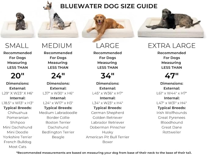 Luxury Boucle Orthopedic Memory Foam Dog Bed with Waterproof Liner and Machine Washable Cover with YKK Zippers (Large, 45" L x 36" W x 7" Th, Cloud)