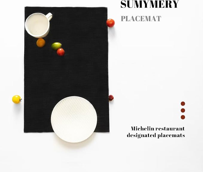 Placemats Set of 4 Vinyl/Plastic Woven Place Mats