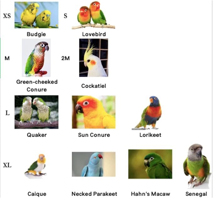 Bird Flight Harness Vest, Parrot Flight Suit with Leash for Parakeets Cockatiels Conures Budgies, Bird Flying Clothes with Rope and Handle for Outdoor Activities Training, Anti Bite (X-Small)