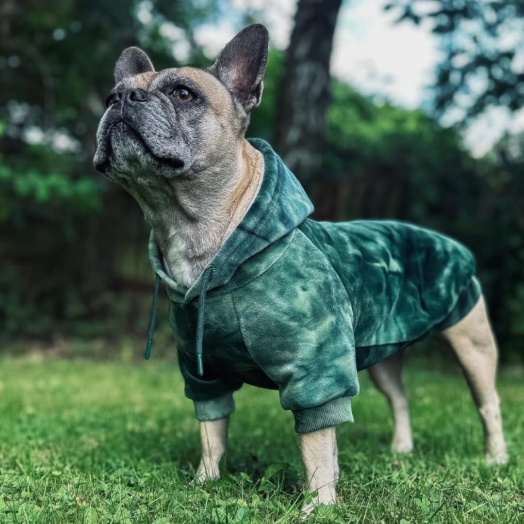 Spark Paws Dog Hoodie – Premium Dog Sweater for Small, Medium, and Large Dogs | Warm Outfits for French Bulldogs, Pitbull, Puppy, Winter Jacket Alternative -Green Skydye, S