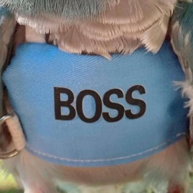 Bird Flight Harness Vest, Parrot Flight Suit with Leash, Bird Flying Clothes with Rope and Handle for Outdoor Activities (XS)