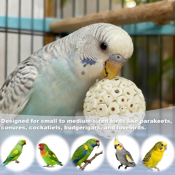Bird Toys - 9Pcs 1.6" Natural Sola Balls, Cage Enrichment | Chewing and Shredding Parrot Toys | Ideal for Parakeets/Cockatiels/Conures/Lovebirds and Small to Medium Birds