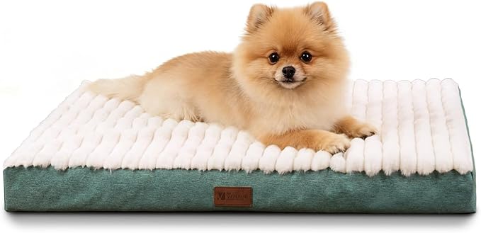 Orthopedic Dog Bed with Firm High-Density Egg Crate Foam Mattress,Soft Short Plush Surface Pet Beds,Machine Washable with Removable Cover & Non-Slip Bottom for Small Breeds (Green, 23"L x 17"W x 3"H)