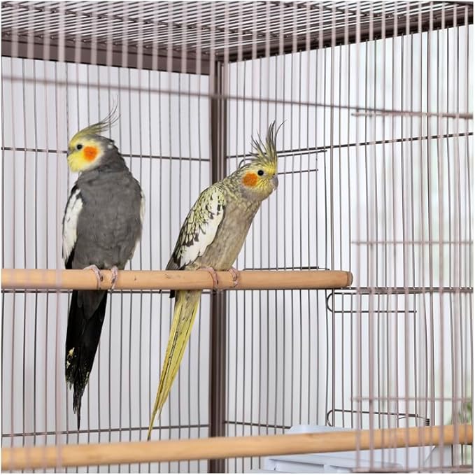 Maykoosh Contemporary Chic Iron Flight Cage with Elegant Ironwork, Spacious Interior, Durable Construction, and Ample Room for Birds to Fly, Play,
