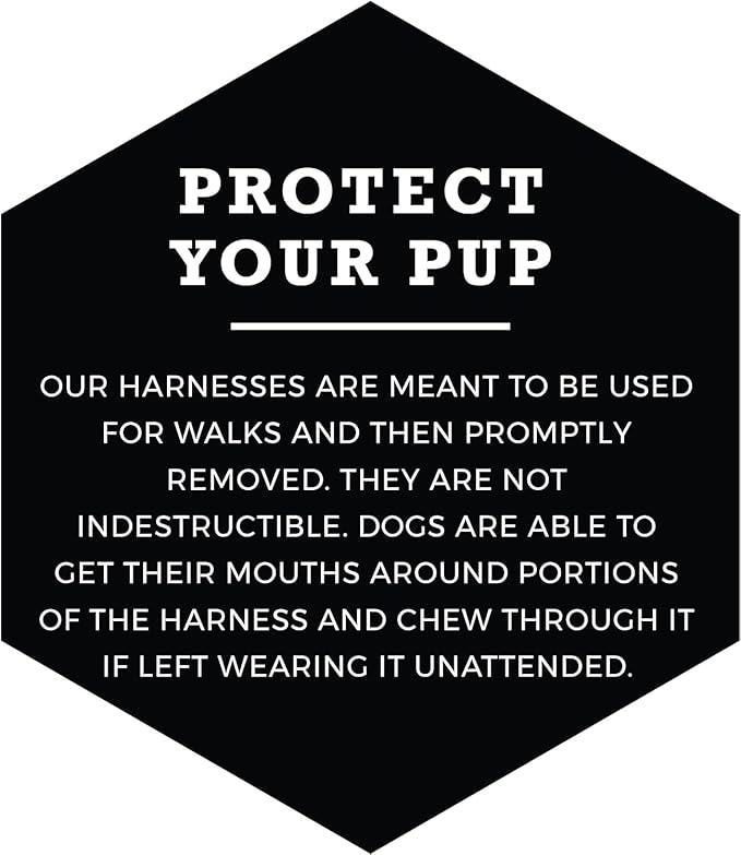 Wolfgang Heavy Duty Adjustable Dog Harness, Pull-Tested to Over 800 lbs for Walking & Training, SunsetPalms Print, Medium