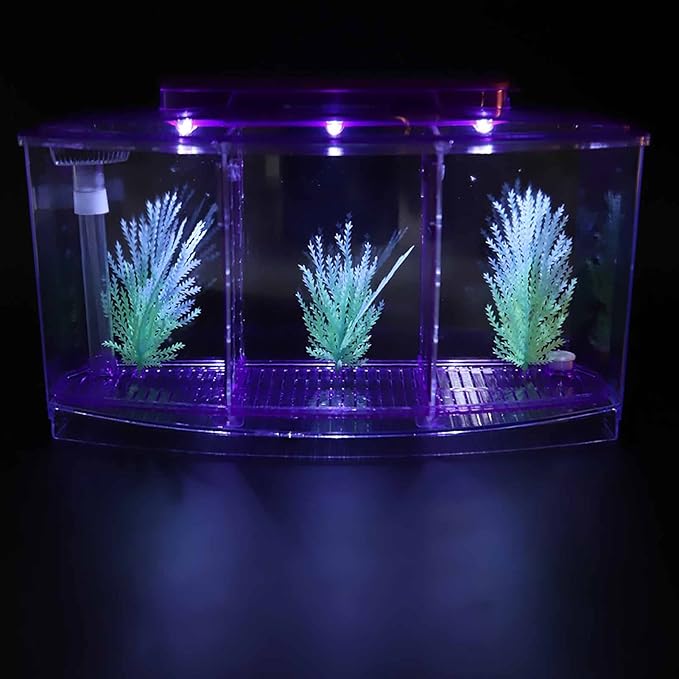 Yctze LED Acrylic Aquarium Breeding Box and Kit - Ideal for Betta Fish, Dual and Mini Aquarium Environment