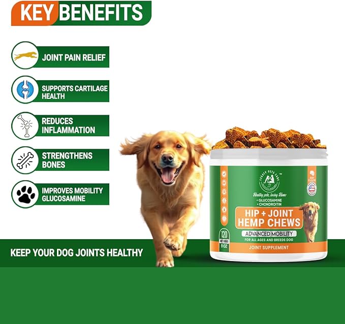 Hip & Joint Supplement for Dogs – Glucosamine Chondroitin Dog Chews with Hemp, MSM, Turmeric – Supports Mobility for All Breeds – Beef Flavor – 120 Soft Chews – Joint Chews