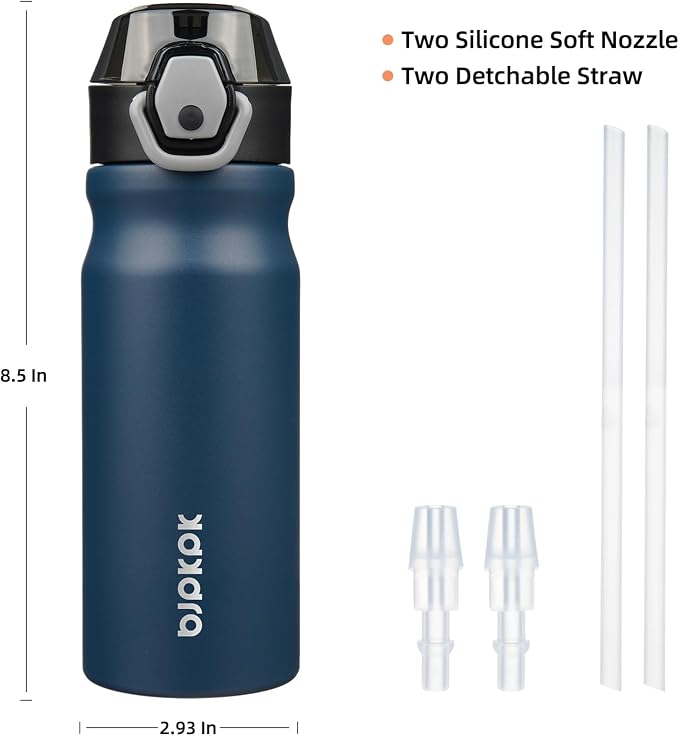 BJPKPK 18 oz Water Bottle with Straw & Handle, Insulated Stainless Flask | Leak