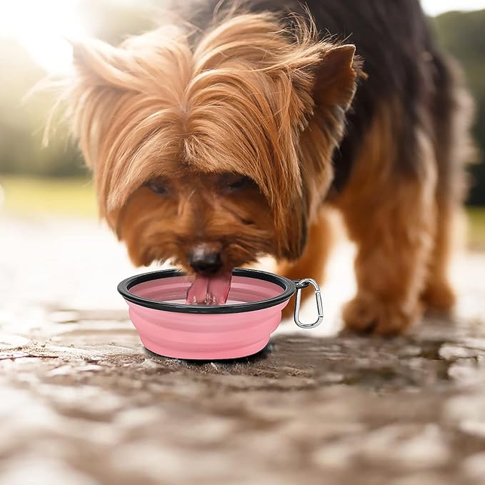 Kytely Large Collapsible Dog Bowls 2 Pack, 34oz Foldable Dog Travel Bowl, Portable Pet Water Food Bowl with Clasp, Pet Cat Feeding Cup Dish for Traveling, Walking, Hiking (Pink+Grey)