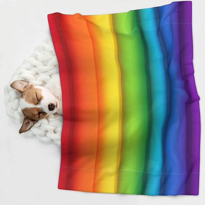 Pet Blanket for Car Rides Vet Visits, Colorful, Two Sided Reversible Plush Design with Bumpy Dot Side Offers Comfort Home Piece On Go Travel