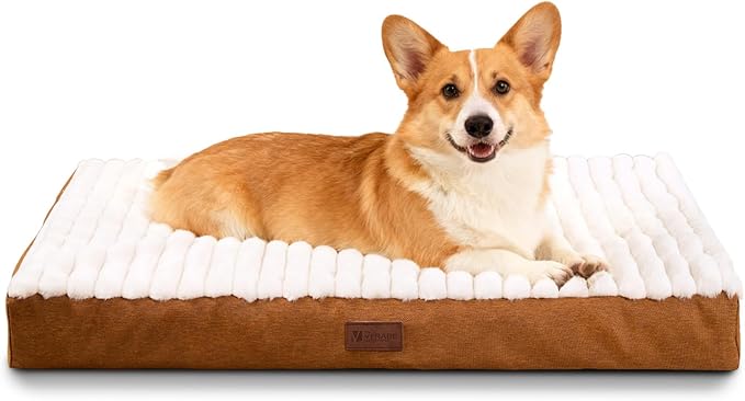 Orthopedic Dog Bed with Firm High-Density Egg Crate Foam,Soft Short Plush Surface Pet Beds,Machine Washable with Removable Cover & Non-Slip Bottom for Medium Breeds (Brown, 29" L x 18" W x 3" H)
