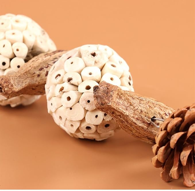 Bird Chew Toy for Pet Bird Parrot Sola Ball Natural Nuts Pinecone Chewing Toy for Small Parakeet Cockatiel Conures Finch Budgie (L)
