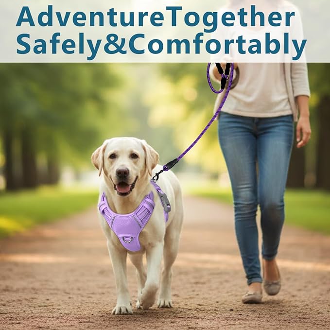 BARKBAY Dog Harness No Pull with ID Tag Pocket - Heavy Duty, Reflective, Easy Control for Large Dogs(Violet Purple,L)